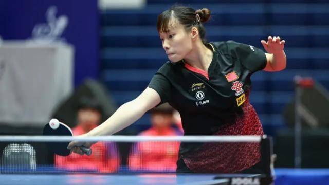 金子豪的每 金子豪的每